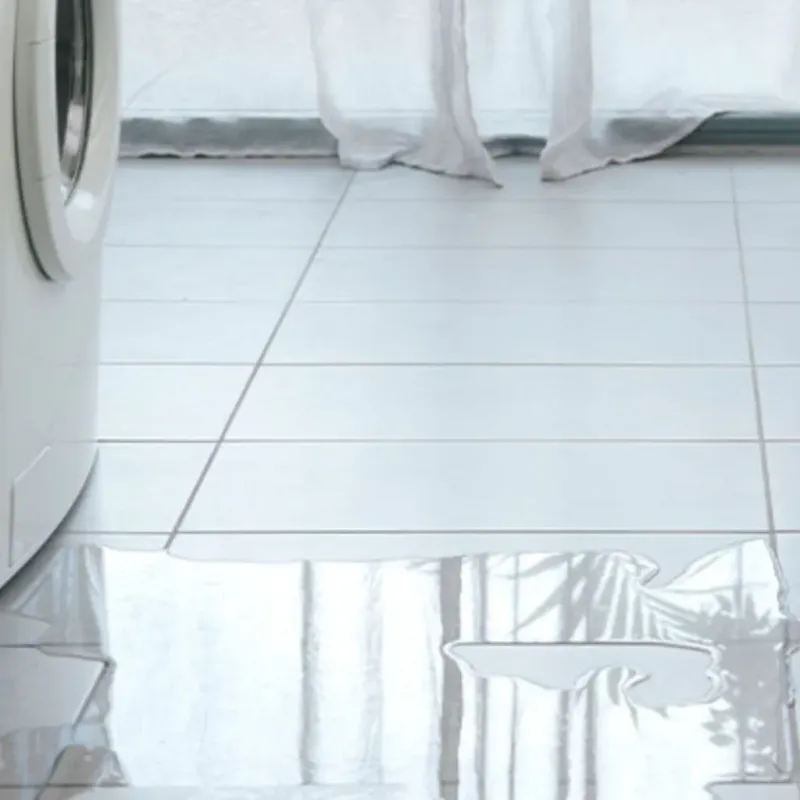 Appliance Leak Cleanup in Alamo, TX