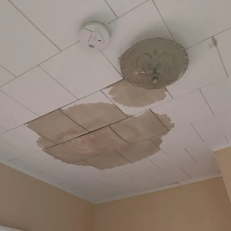 Ceiling Water Damage Repair in Alamo, TX