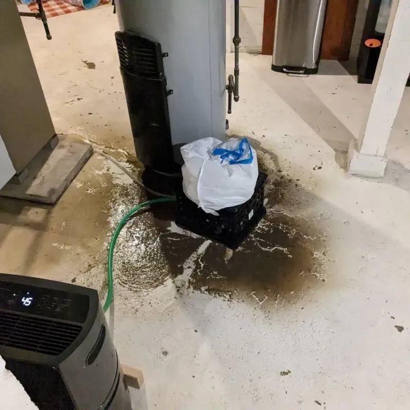 Sewage Backup Cleanup Service in Alamo, TX